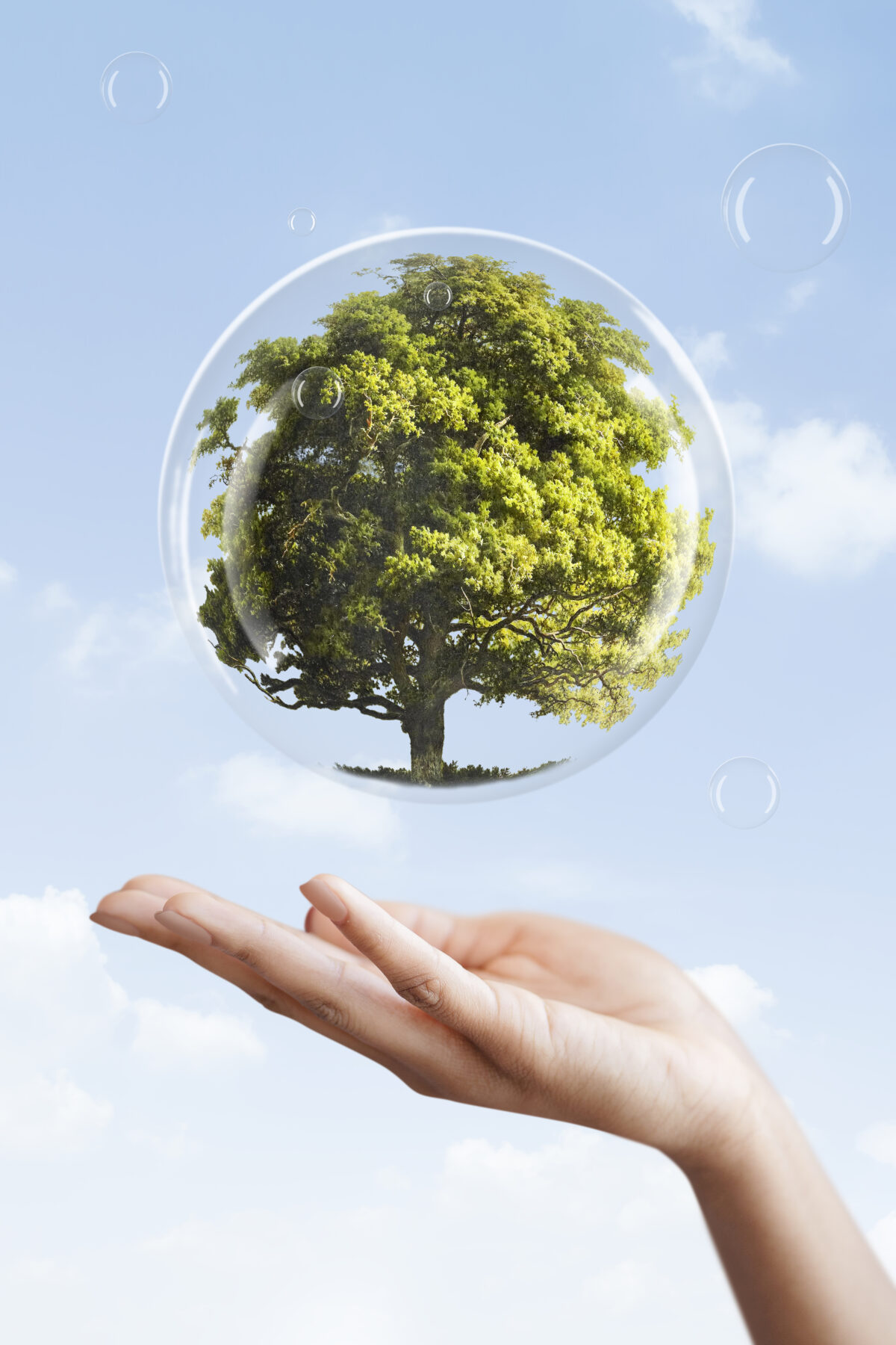 earth-day-campaign-hand-showing-tree-bubble-media-mix-1200x1800.jpg